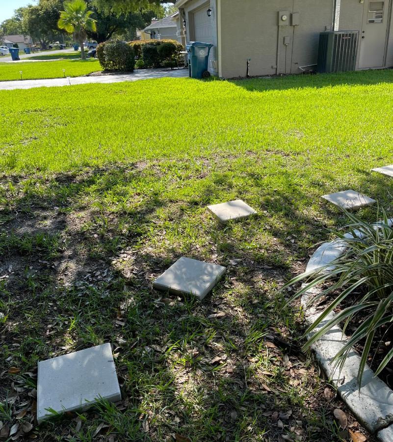 Weeki Wachee Guest Suite Spring Hill Ngoại thất bức ảnh