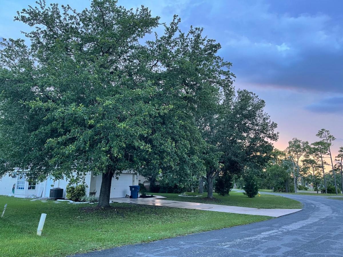 Weeki Wachee Guest Suite Spring Hill Ngoại thất bức ảnh